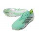 Zapatillas de Fútbol adidas Predator Elite FG Verde Plateado