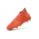 Botas de Futbol 2018 Nuevo Adidas Predator 18+ FG - Rosa