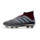 Paul Pogba adidas PP Predator 18.1 FG Gris Rojo