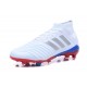 adidas Predator 18.1 Telstar FG Zapatillas de Fútbol 2018 - Blanco Plata