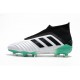 Adidas Predator 18+ FG Zapatillas de Fútbol - Blanco Verde Negro