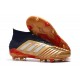 Zapatos de Fútbol Adidas Predator 19.1 FG - Oro Rojo Plata