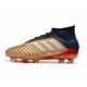 Zapatos de Fútbol Adidas Predator 19.1 FG - Oro Rojo Plata