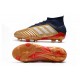Zapatos de Fútbol Adidas Predator 19.1 FG - Oro Rojo Plata