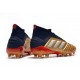 Zapatos de Fútbol Adidas Predator 19.1 FG - Oro Rojo Plata