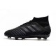 Zapatos de Fútbol Adidas Predator 19.1 FG - Negro